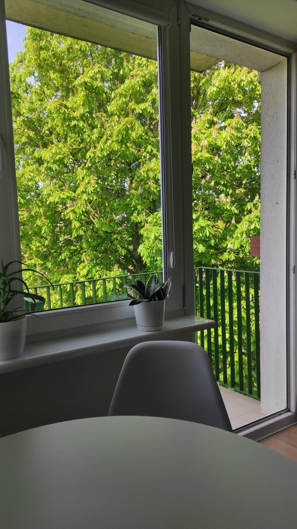 Apartament Mazury Kętrzyn Buitenkant foto
